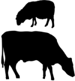 Red Down Beef and Lamb logo. Silhouette of a sheep above a cow